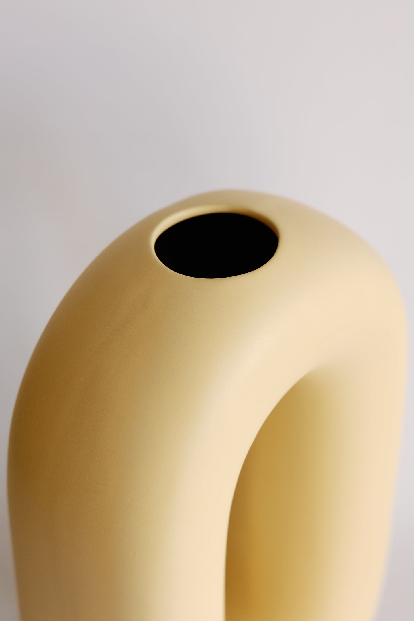 Looped Sculptural Vase